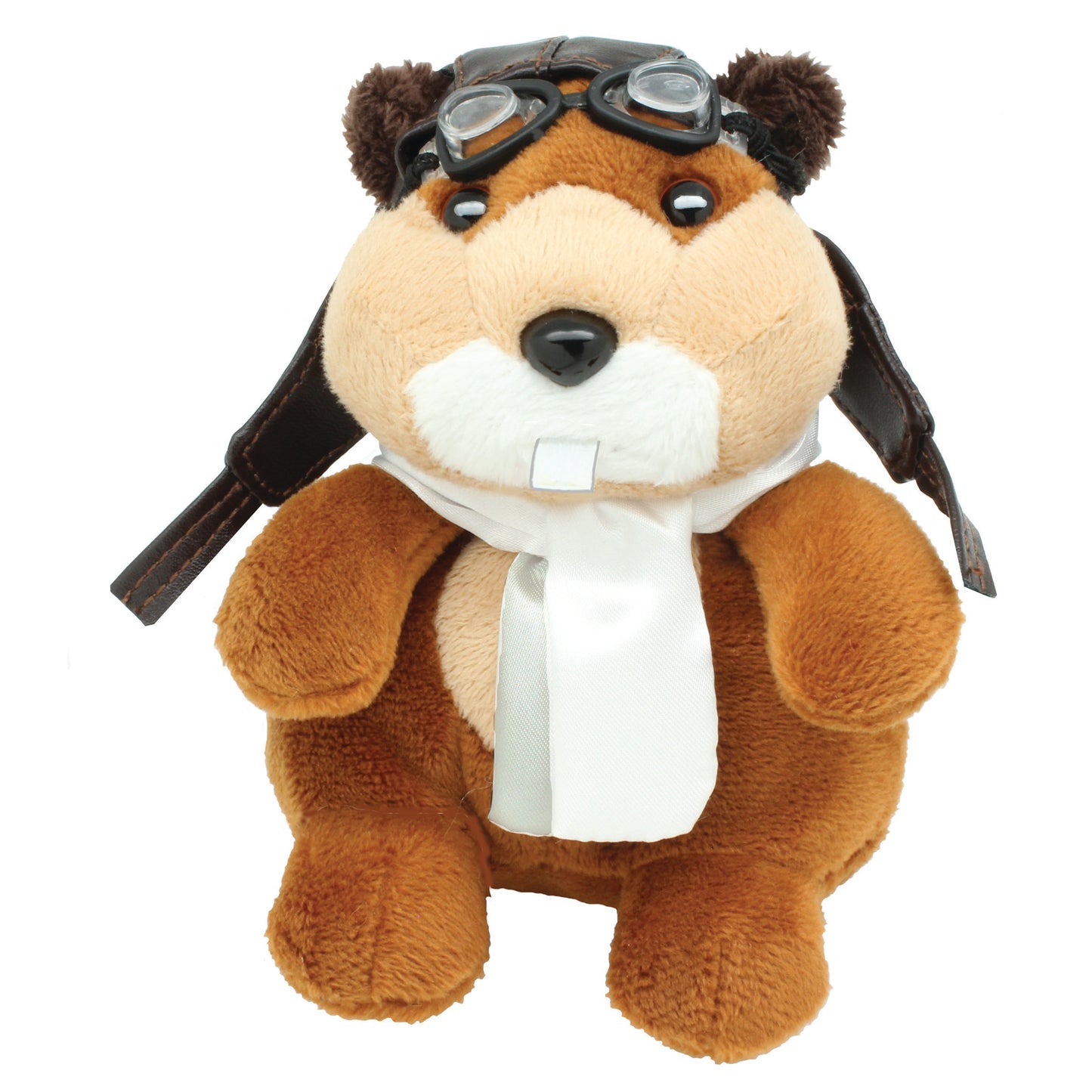 Beaver the Aviator